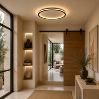 Led Living Room Ceiling Light Minimalist Circular