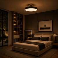 Modern Round LED Ceiling Light