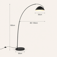 Black Stainless Steel Arc Floor Lamp