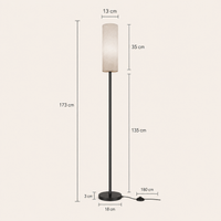 Dimmable Floor Lamp RGBW Smart App And Remote Control