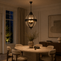Wrought Iron Glass Globe Pendant Light