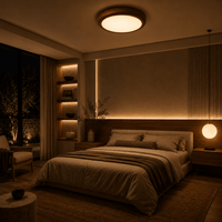 Norven Living Ceiling Lights LED Circular
